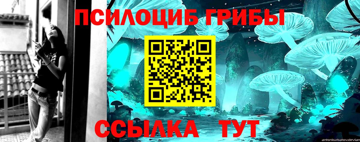 Псилоцибиновые грибы Psilocybe Нововоронеж